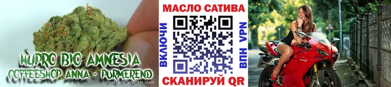 Дистиллят ТГК концентрат  МЕГА сайт  Находка  наркошоп 