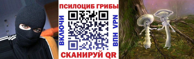 цены Находка Псилоцибиновые грибы ЛСД